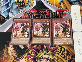 English Madolche Messengelato 2 rare, set of 3 Tera.