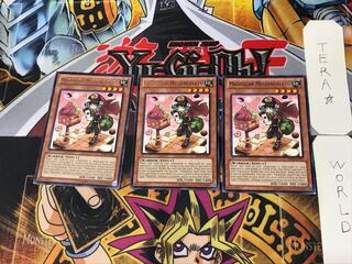 English Madolche Messengelato 3 rare, set of 3 Tera.