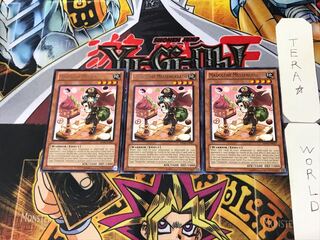 English Madolche Messengelato 5 rare, set of 3 Tera.