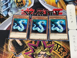 英語版 ライト・サーペント 5 レア 3枚セット てら