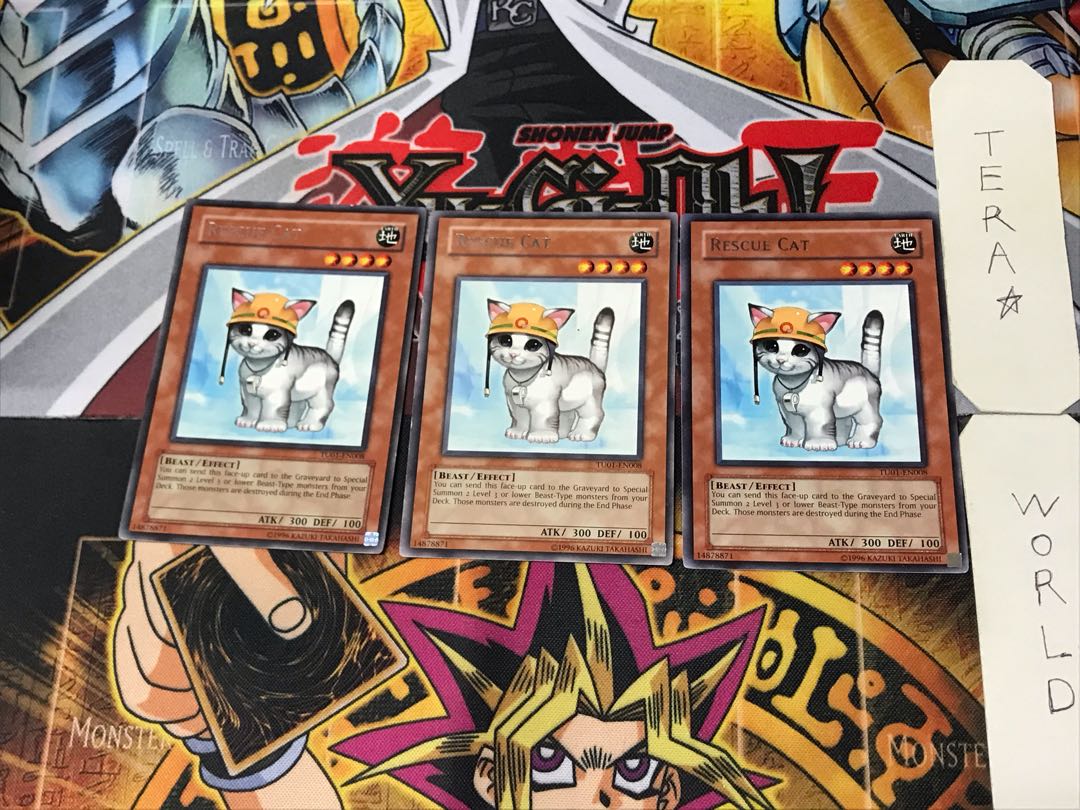 English Rescue Cat 1 rare, set of 3 Tera.