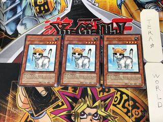 English Rescue Cat 2 Rare, set of 3 Tera.