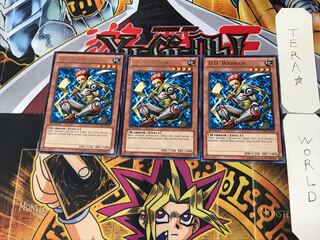 English D.D. Warrior 1 rare, set of 3 Tera.