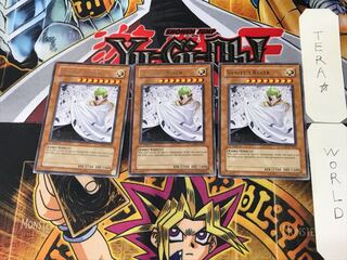 English Vanity's Ruler 1 rare, set of 3 Tera.