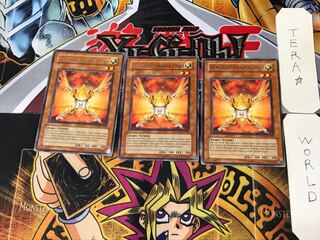 English Herald of Orange Light 3 rare, set of 3 Tera.