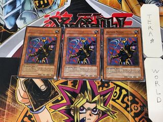 英語版 青い忍者 2 レア 3枚セット てら