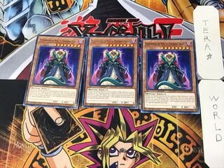 英語版 毒蛇王ヴェノミノン 2 レア 3枚セット てら