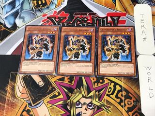 英語版 墓守の召喚師 2 レア 3枚セット てら