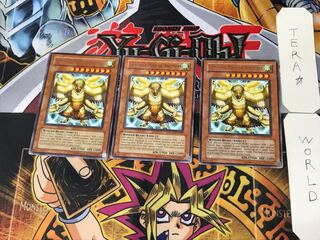 English Simorgh, Bird of Divinity 1 rare, set of 3 Tera.