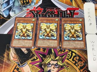 English Simorgh, Bird of Divinity 2 rare, set of 3 Tera.