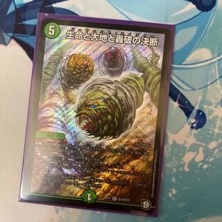 Life Life, Earth and Roaring Decision SR S12/S12