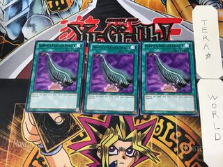 English Har Cleffa's Feather Broom 2 black rare, set of 3 Tera.