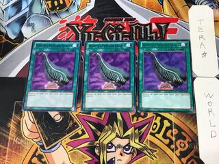 English Har Cleffa's Feather Broom 4 black rare, set of 3 Tera.