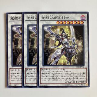 8018 Enlightenment Paladin $2227
