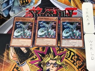 英語版 サイバー・ヴァリー 3 黒レア 3枚セット てら