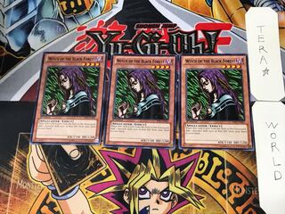 English Witch of the Black Forest 1 black rare, set of 3 Tera.