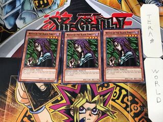 English Witch of the Black Forest 2 Black Rare, set of 3 Tera.