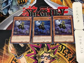 きみちゃん 様 専用