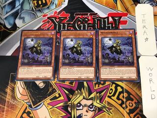 English Wightprince 2 Gold Rare, set of 3 Tera.