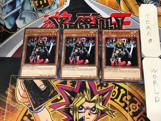 英語版 異次元の女戦士 1 金レア 3枚セット てら