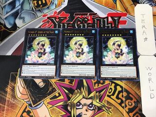 英語版 No.87 雪月花美神クイーン・オブ・ナイツ 1 金レア 3枚セット てら