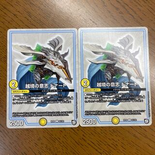 越境の意志 ドナート C 63/102 1枚