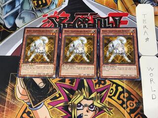 英語版 ライトロード・ハンター ライコウ 1 ノーマルパラレル 3枚セット てら