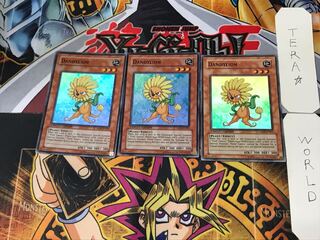 英語版 ダンディライオン 2 スーパー 3枚セット てら