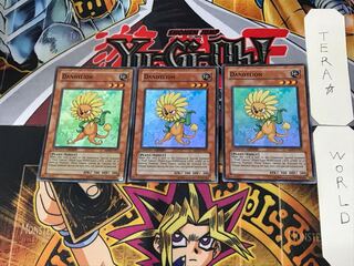 英語版 ダンディライオン 3 スーパー 3枚セット てら