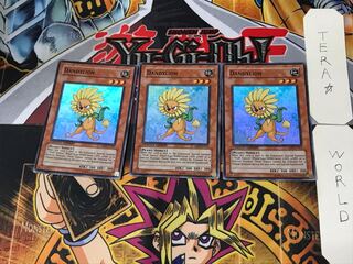 英語版 ダンディライオン 4 スーパー 3枚セット てら