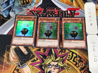 English version Naturia Cosmobeet 1 Super set of 3 Tera