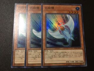 白刺鱏　3枚セット 3枚