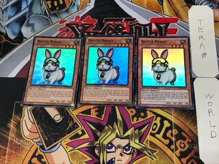 English Rescue Rabbit 1 Super 3-card set Tera
