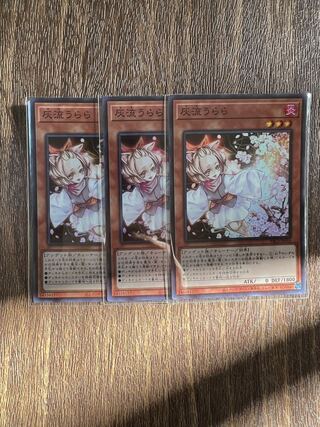 Special Price] Ash Blossom & Joyous Spring Super Rare 3-Card Set!