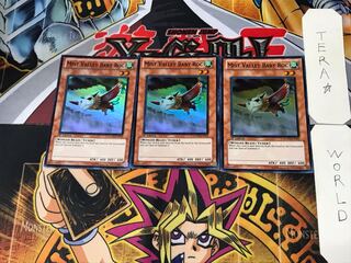 English Mist Valley Baby Roc 1 Super Set of 3 Tera