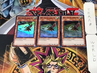 English Mist Valley Baby Roc 2 Super Set of 3 Tera