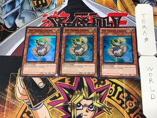 英語版 魔轟神獣チャワ 1 スーパー 3枚セット てら