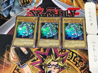 英語版 青眼の白龍 7 ウルトラ 3枚セット てら