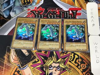 英語版 青眼の白龍 9 ウルトラ 3枚セット てら