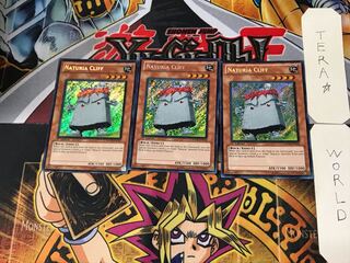 英語版 ナチュル・グリフ 1 シークレット 3枚セット てら