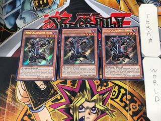 English Ninja Grandmaster Hanzo 2 Secret 3-card set Tera