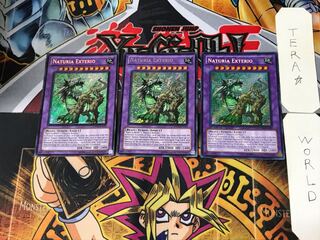 English Naturia Exterio 1 Secret 3-card set Tera