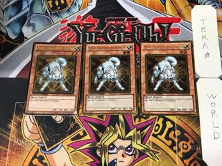 英語版 ライトロード・ハンター ライコウ 1 ゴールド 3枚セット てら