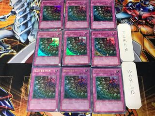 韓国版 硫酸のたまった落とし穴 1 ウルトラ 9枚セット てら