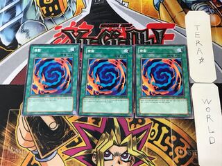 韓国版 融合 DP1 1 ノーマル 3枚セット てら