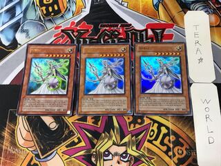 Korean version Athena PP03 3 Ultra, set of 3 Tera