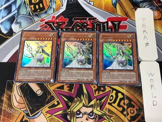 Korean version Athena PP03 10 Ultra, set of 3 Tera