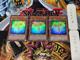 Korean version Hecatrice PP03 1 Ultra set of 3 Tera