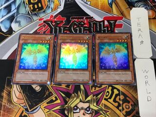 Korean version Hecatrice PP03 3 Ultra, set of 3 Tera