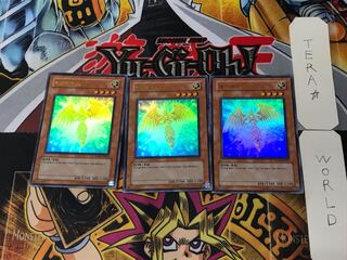 Korean version Hecatrice PP03 4 Ultra, set of 3 Tera